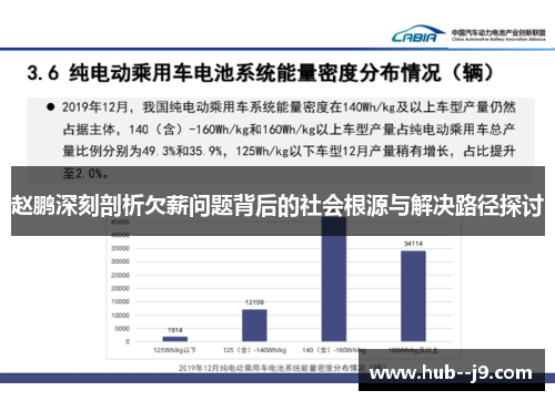 赵鹏深刻剖析欠薪问题背后的社会根源与解决路径探讨