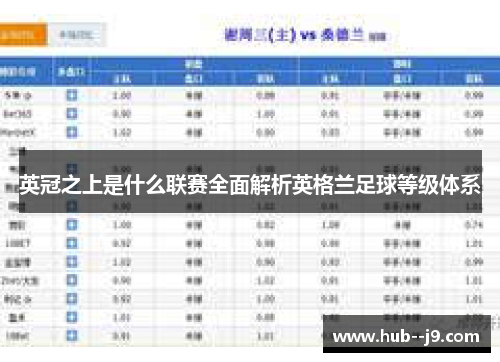 英冠之上是什么联赛全面解析英格兰足球等级体系