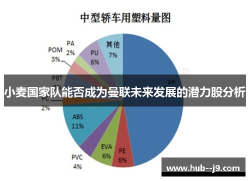 小麦国家队能否成为曼联未来发展的潜力股分析